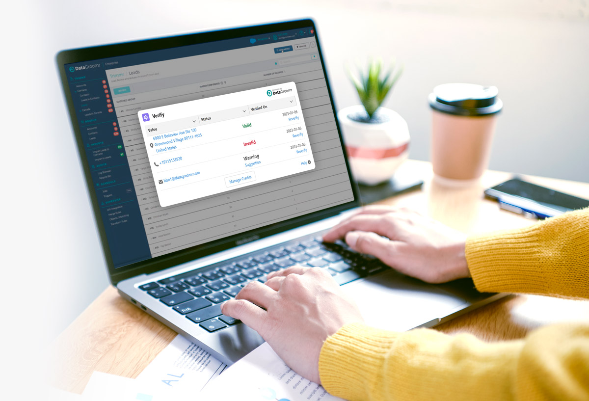 DataGroomr Verify