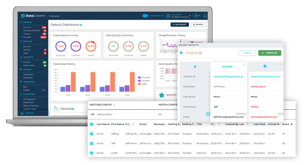 DataGroomr user interface