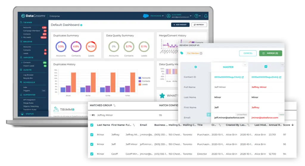 DataGroomr user interface