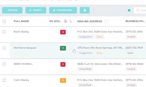ongoing verification