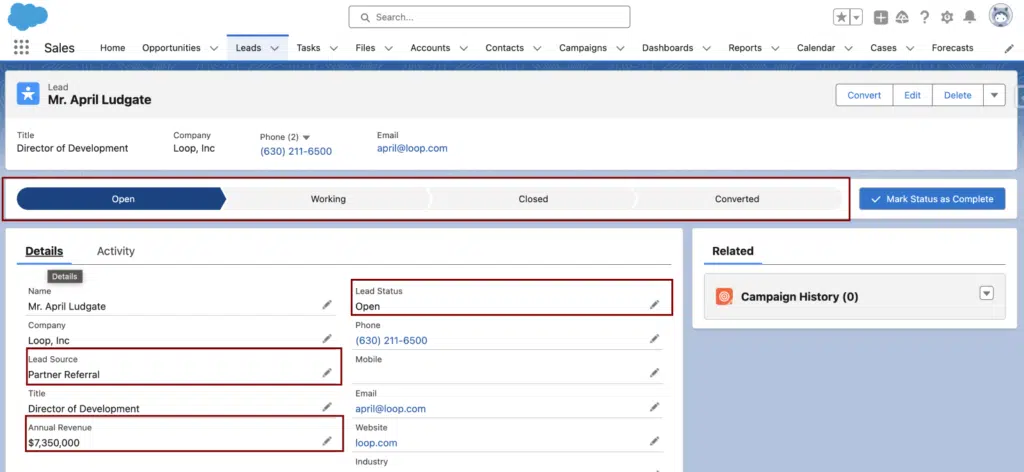 Custom Record Type for Sales Team