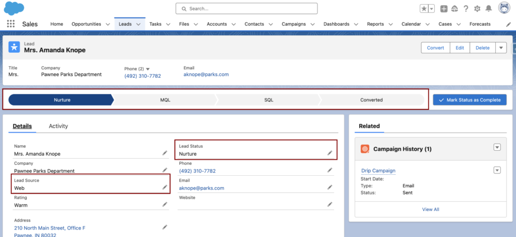 Salesforce Custom Record Type for the Business Development Team 