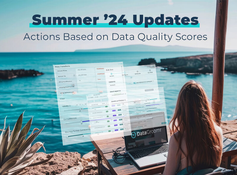 summer 24 datagroomr updates