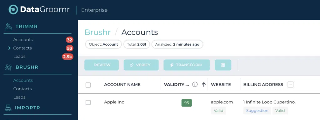 salesforce website verification