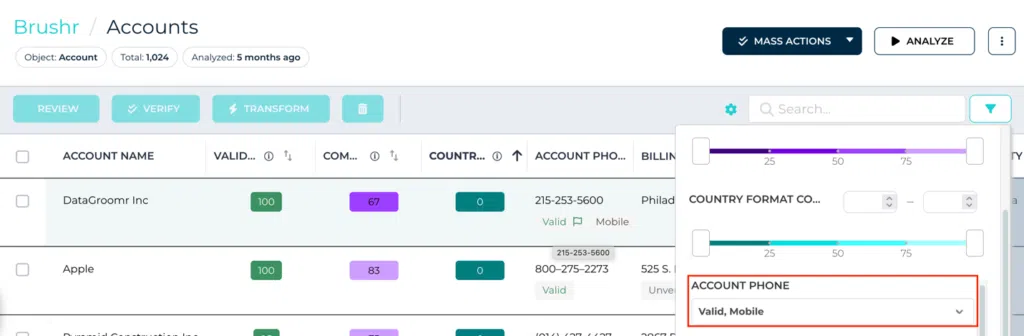 Filter Records by Phone Number Connection Type