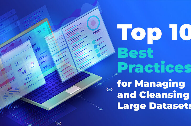 Best Practices for Managing and Cleansing Large Datasets