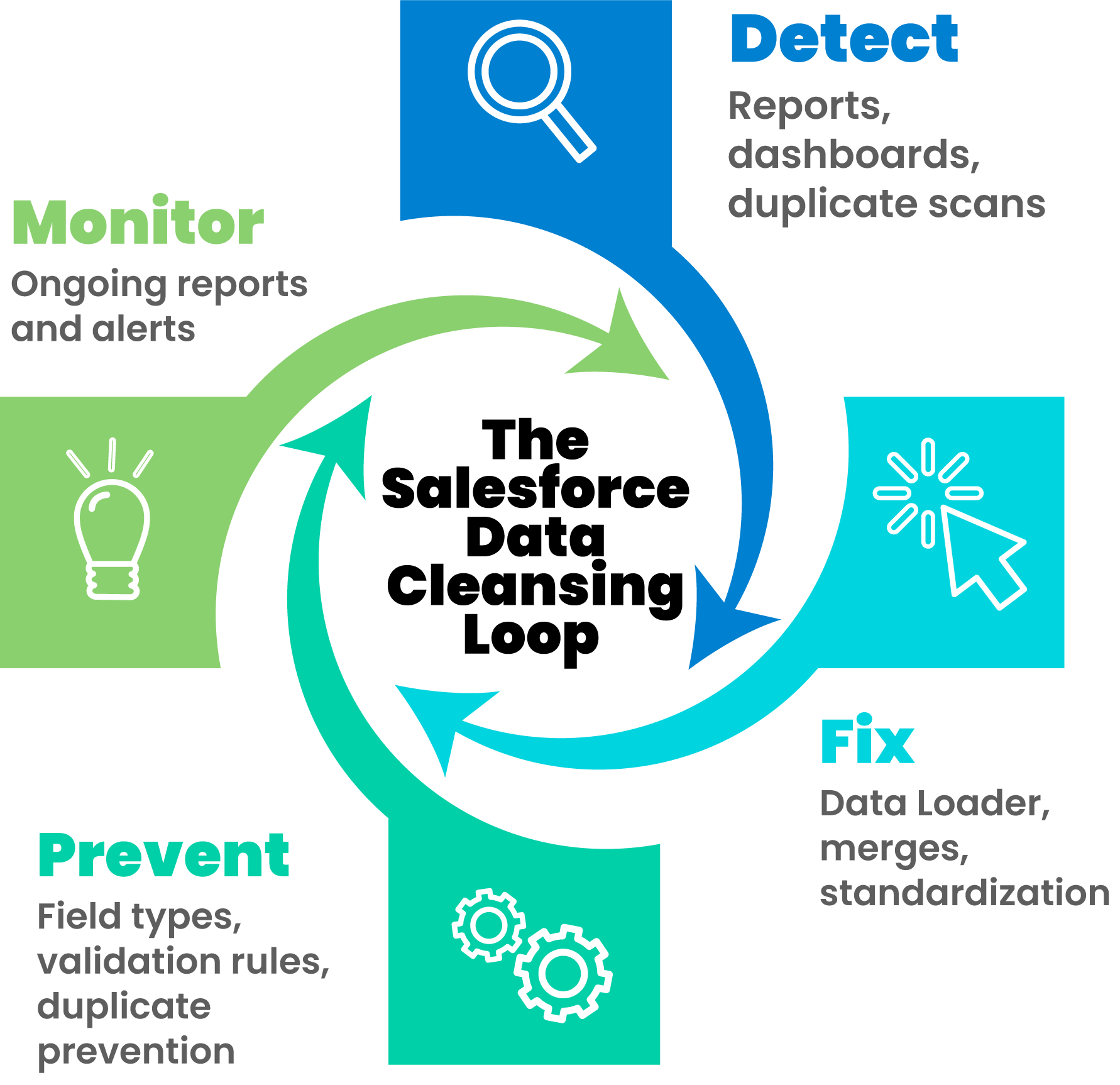 The Salesforce Data Cleansing Loop infographic