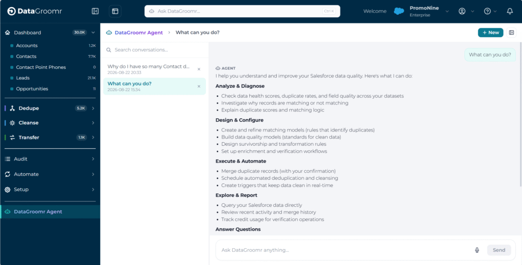 datagroomr ai agent