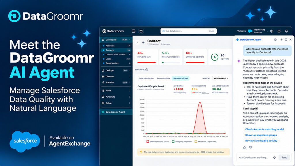 DataGroomr AI Agent