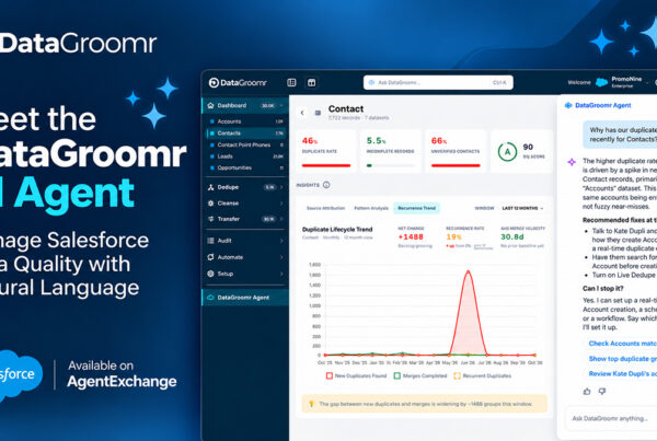 DataGroomr AI Agent
